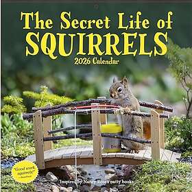 Workman Calenders Secret Life of Squirrels Wall Calendar 2026