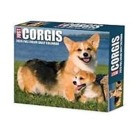 Wlcp Corgis 2026 Box Calendar