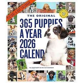 Workman Calenders 365 Puppies-A-Year Picture-A-Day® Wall Calendar 2026