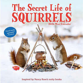 Workman Calenders Secret Life of Squirrels Mini Wall Calendar 2026
