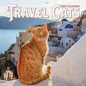 Workman Calenders Travel Cats Wall Calendar 2026