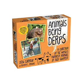 Andrews McMeel Publishing Animals Being Derps Day-to-Day Calendar 2026