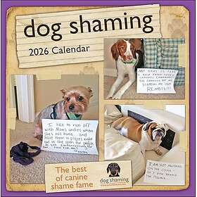Andrews McMeel Publishing Dog Shaming Wall Calendar 2026