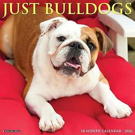 Wlcp Bulldogs Wall Calendar 2026