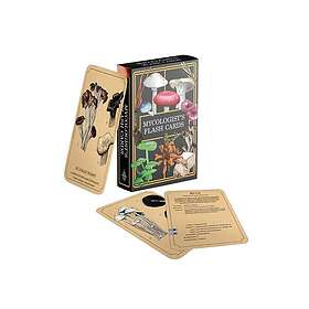 Dungeons & Dragons Mycologists Primer Flash Cards 5E