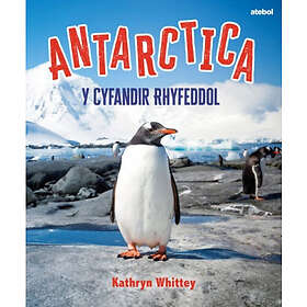 Antarctica Y Cyfandir Rhyfeddol (häftad, wel)
