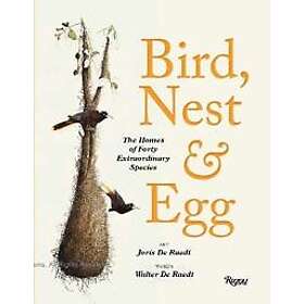 Bird, Nest & Egg
