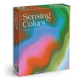 Galison Sensing Colors Puzzle