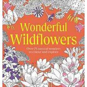 Dorling Kindersley Wonderful Wildflowers Coloring Book
