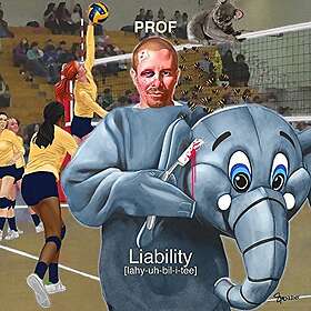 Prof Liability CD