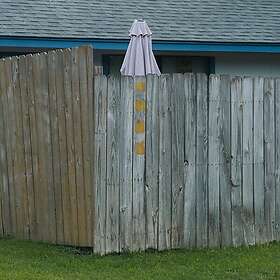 Good Looks Lived Here For A While CD