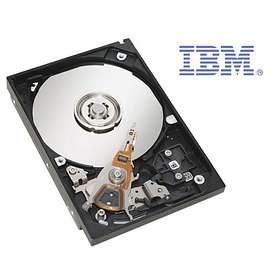IBM 90P1350 250GB