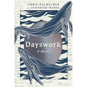 Dayswork A Novel