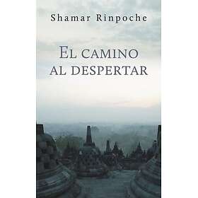 El camino al despertar