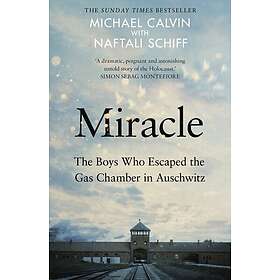 Miracle The Boys Who Escaped the Gas Chamber in Auschwitz