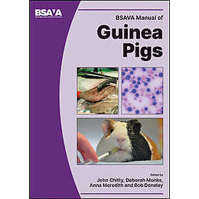 BSAVA Manual of Guinea Pigs