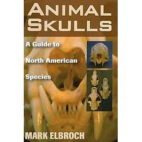 Animal Skulls