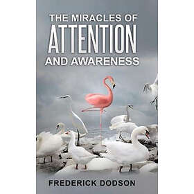 The Miracles of Attention and Awareness