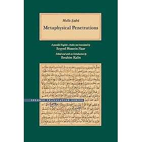 Metaphysical Penetrations