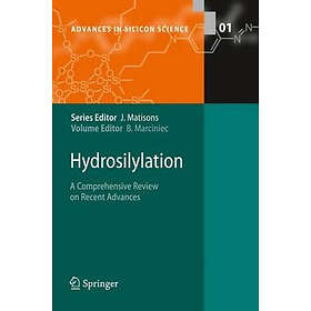 Hydrosilylation A Comprehensive Review on Recent Advances Hardcover