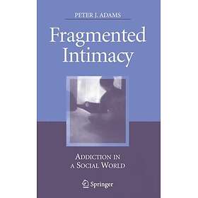 Fragmented Intimacy Hardcover