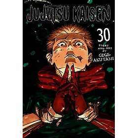 Jujutsu Kaisen, Vol. 30