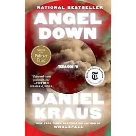 Angel Down (Pulitzer Prize Winner)