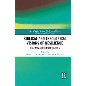Biblical and Theological Visions of Resilience