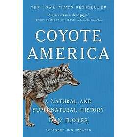 Coyote America