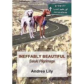 Ineffably Beautiful: Saluki Pilgrimage