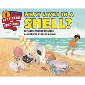 What Lives In A Shell?