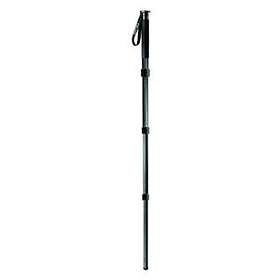 Gitzo Monopod GM5540