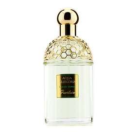 Find the best price on Guerlain Aqua Allegoria Limon Verde edt