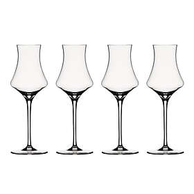 Spiegelau Willsberger Anniversary Liqueur Glass 19cl 4-pack