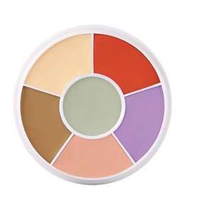 Ben Nye Media Pro Total Corrector Wheel