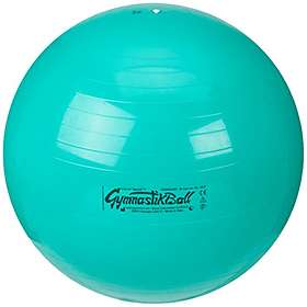Ledragomma Standard Gymbll 65cm
