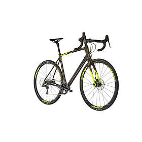 focus paralane price