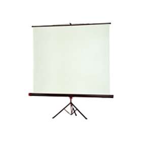 Invideo Portable Projection Screen Tripod 100" (180x180)