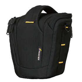 Fancier Bee 30