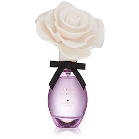 Find the best price on Kate Spade In 