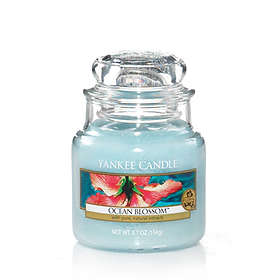 Yankee Candle Ocean Blossom Small Jar
