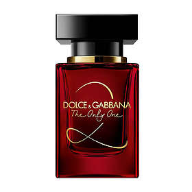 The one dolce 2024 and gabbana nz