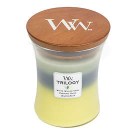 WoodWick Trilogy Medium Scented Candle Icy Woodland