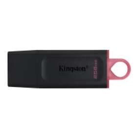 Kingston USB 3.2 Gen 1 DataTraveler Exodia 256GB