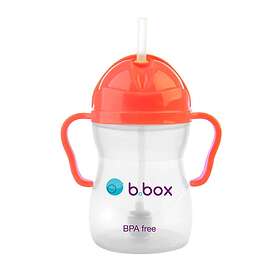 Bbox Trainer Cup 240ml