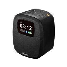 Sangean DCR-83