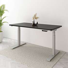 FlexiSpot Home Office Standing Desk EQ3
