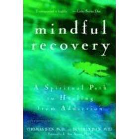 Find the best price on Thomas Bien: Mindful Recovery | Compare deals on ...