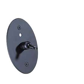 Anthony Gallo Acoustics Micro Wall Mount
