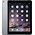 Apple iPad Air 2 32GB